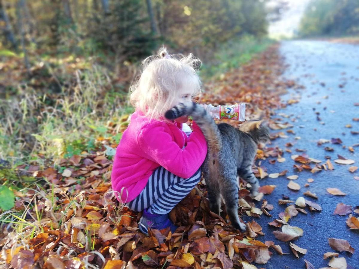 Orlik - Pokoje Goscinne Uscie Gorlickie Eksteriør billede