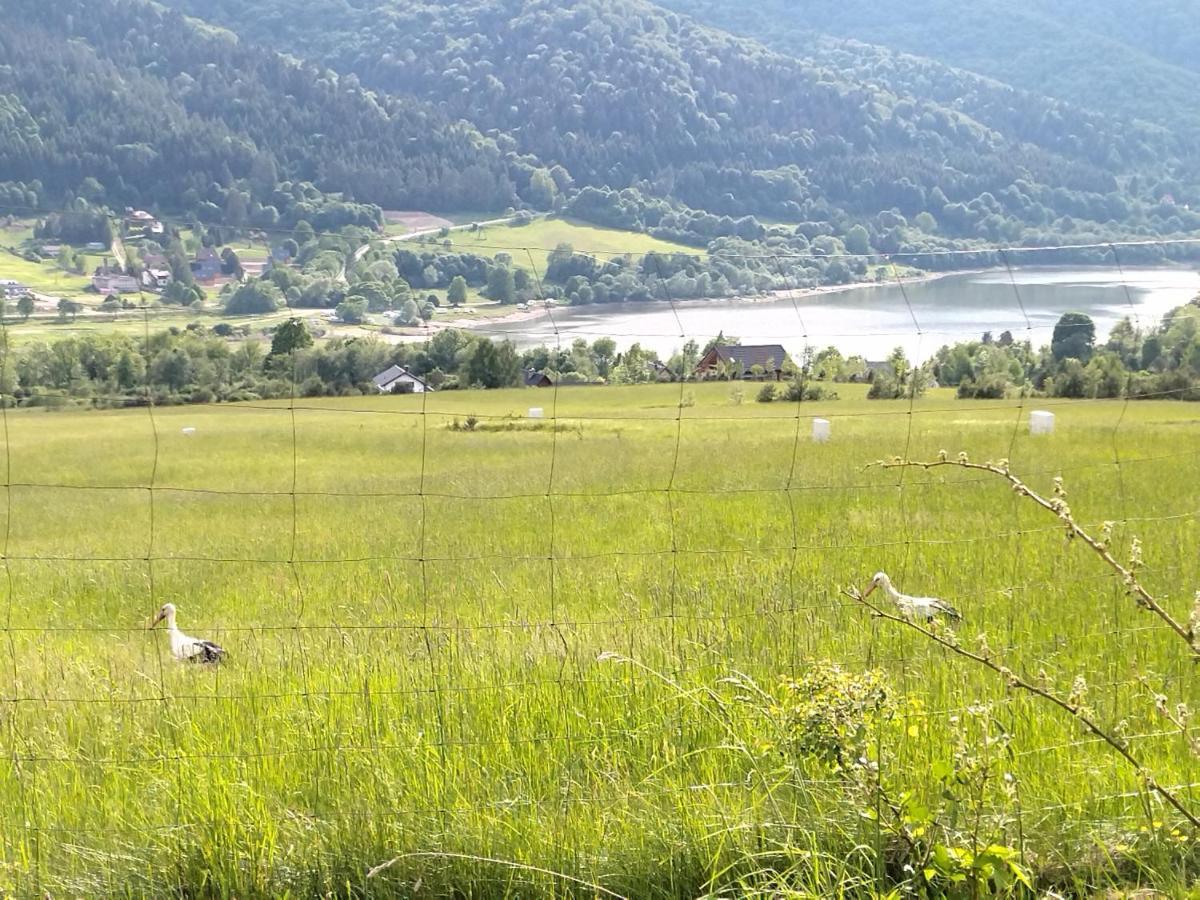 Orlik - Pokoje Goscinne Uscie Gorlickie Eksteriør billede